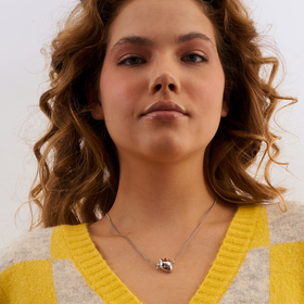 серебристая цепочка с подвеской-сердцем